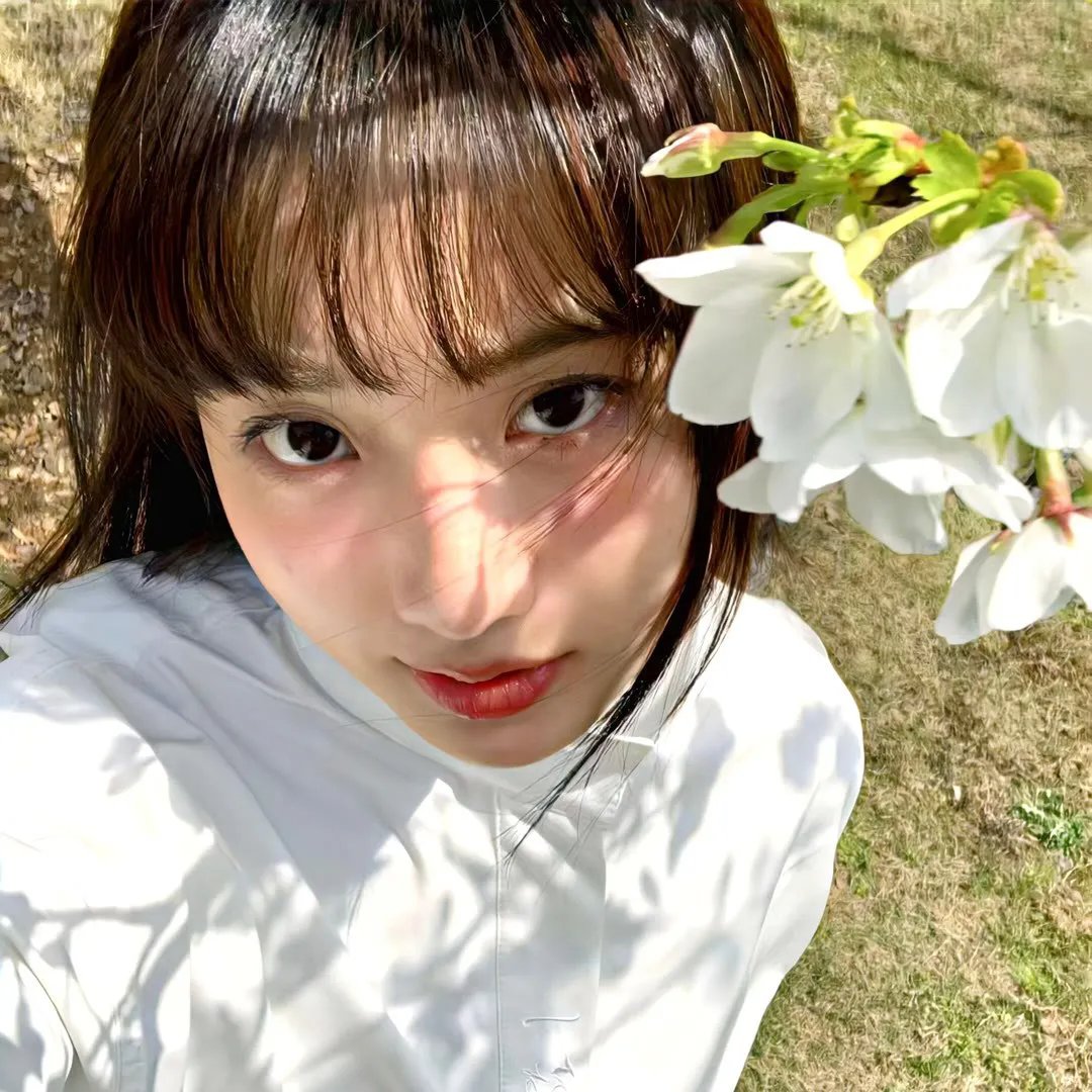 茶花女遗事