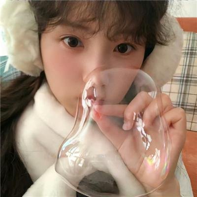 女孩的灵缇犬